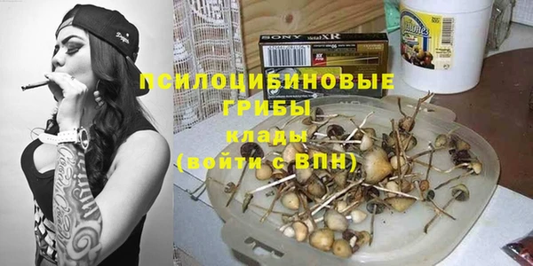прущая мука Верхний Тагил