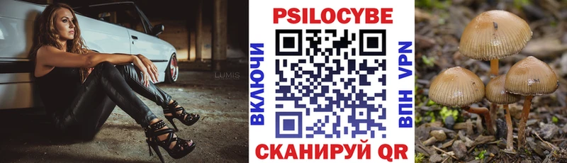Псилоцибиновые грибы MAGIC MUSHROOMS Северобайкальск